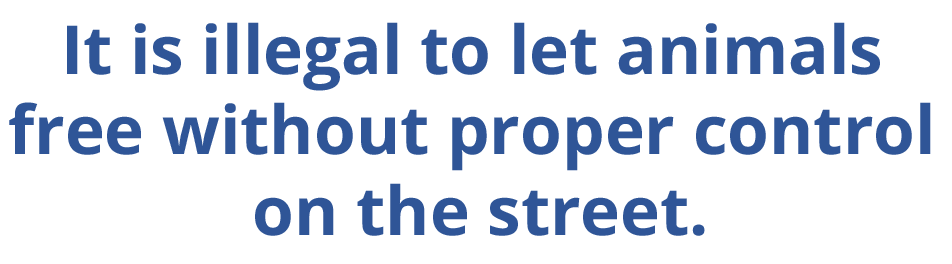 It is illegal to let animals free without proper control on the street.